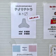 テノリテトラ入荷しました