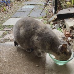 冬、ダイジョウブ？