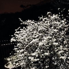 最後の踏ん張り所か？！