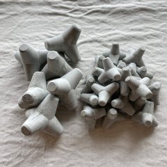 カワイイ人気者「テノリテトラ」が入荷しました♪