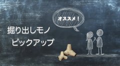掘り出し物・セレクト古着 ピックアップ 半袖シャツ5品目