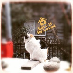 鳥真さん、リニューアルオープン！