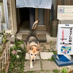服の種類としまい方