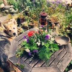 自然を感じる場所