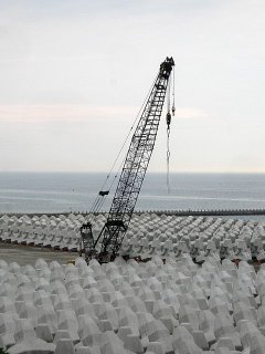 日和山詣〜日和山海岸、シモ町の猫、ひまわり柄の「Bring！」、ド〜ン！と入荷♪