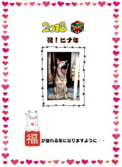 2018年、本日より始動します！初顔合わせ ～ヒナ詣～