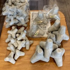 カワイイ人気者「テノリテトラ」入荷しました！
