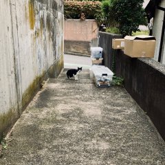 約1年半ぶりに戻りました！