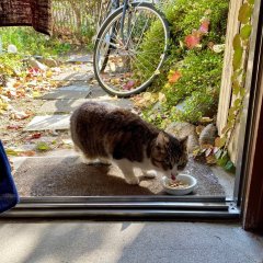 あら、久しぶり♪