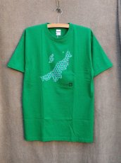 画像1: shiii+po　NGT Lovers Tee　Green 　size XL (1)