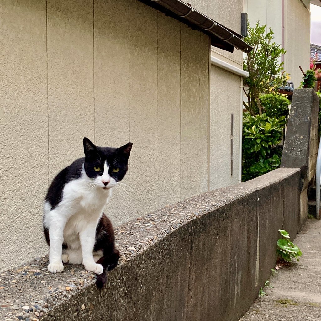 昨日は厄日か吉日か・・まぁいっか！