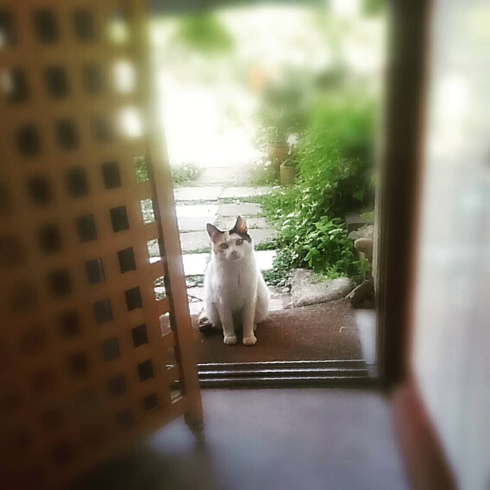 初夏の陽気