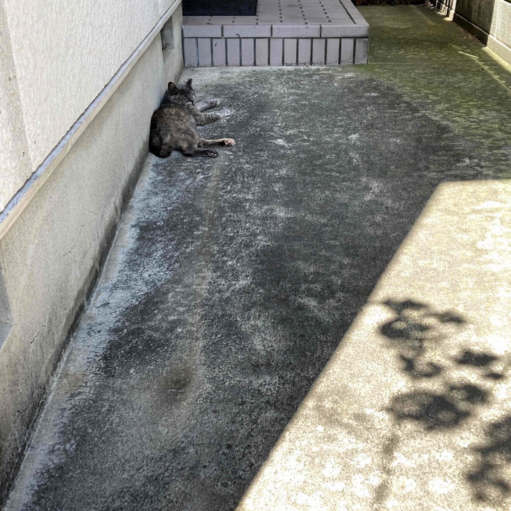 勝手に思いこんで笑みを浮かべる ww