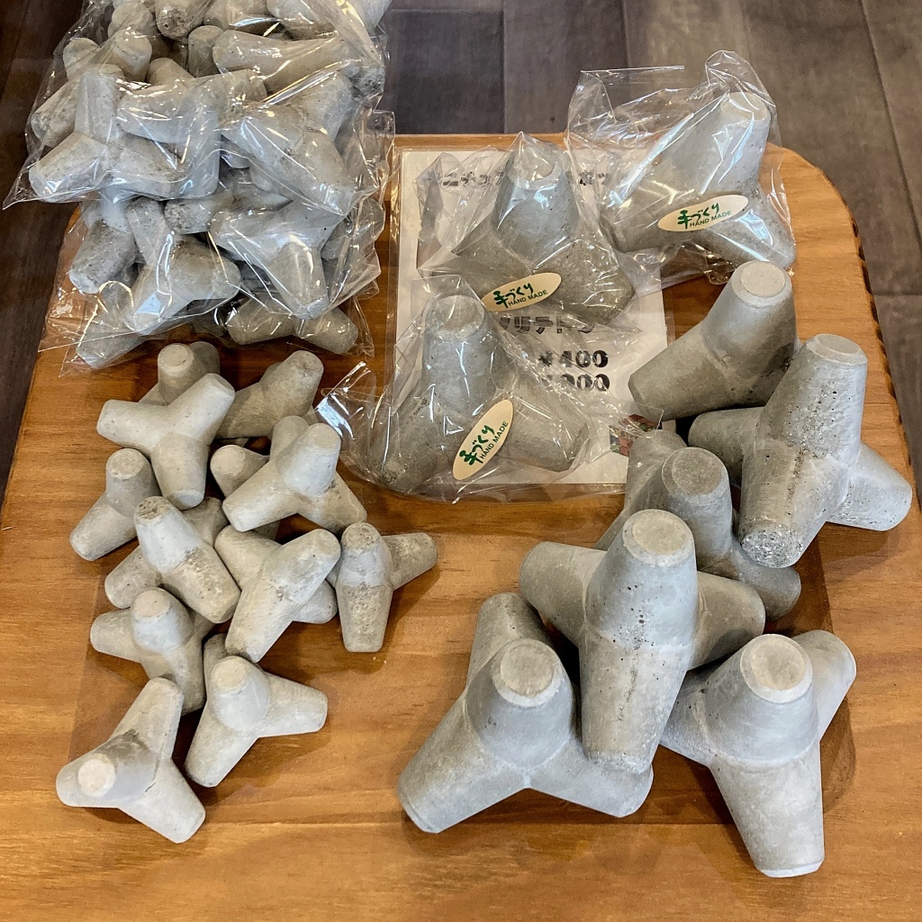 カワイイ人気者「テノリテトラ」入荷しました！