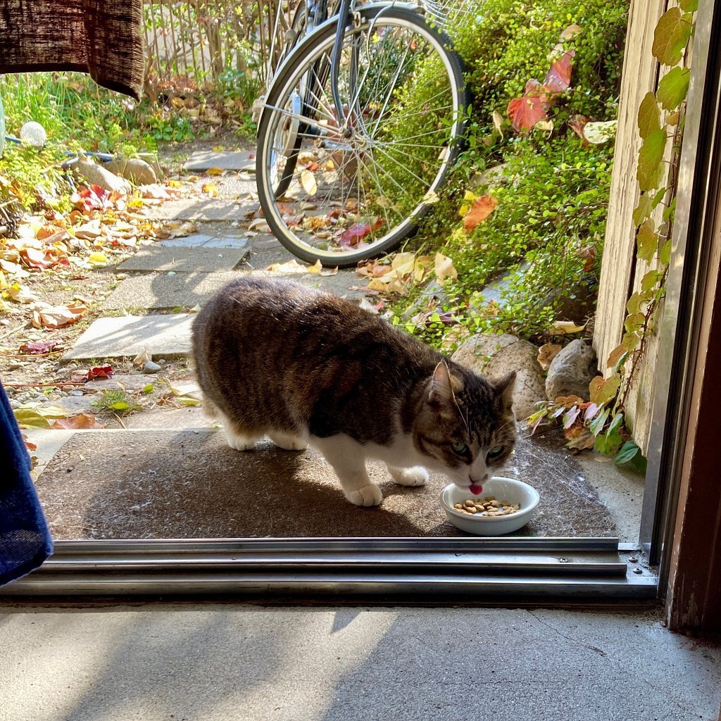 あら、久しぶり♪