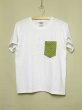 画像1: shiii+po　ポケットTee　Natural Green ドット (1)