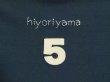 画像1: 【参考商品】　オーダー hiyoriyama ５ Tee　for 日和山五合目 店長さん (1)